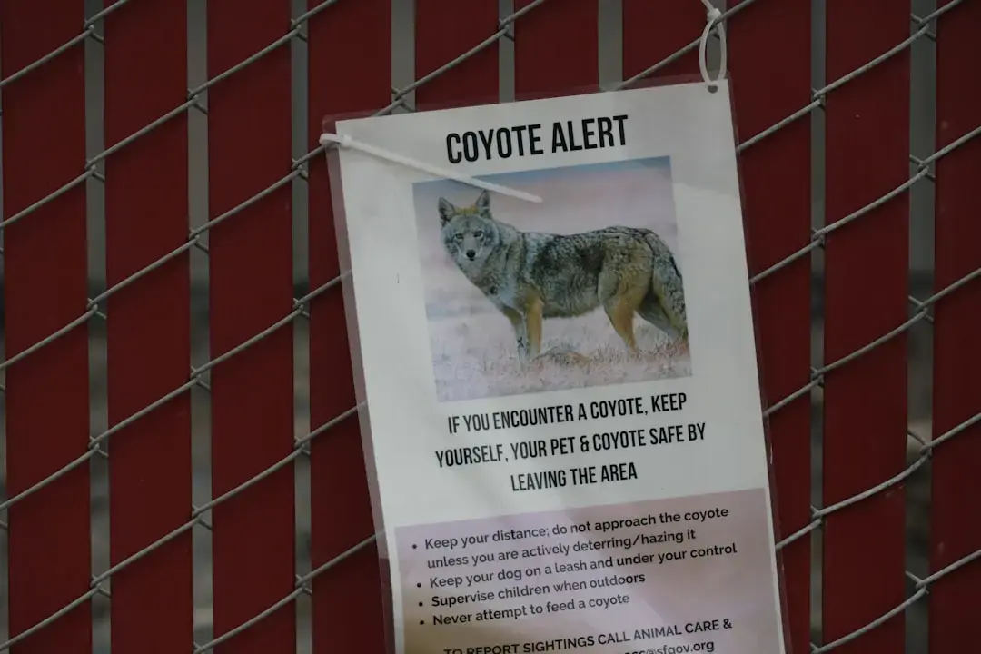 Coyote vs. Acme Saved From Cancellation