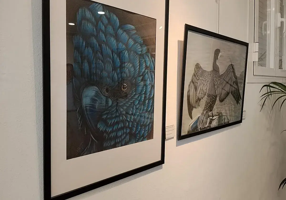 Cultural Group Hosts Collaborative Art Exhibition in