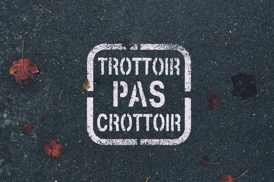 Karol G's Tropitour: A Vibrant Ode to Latin Power