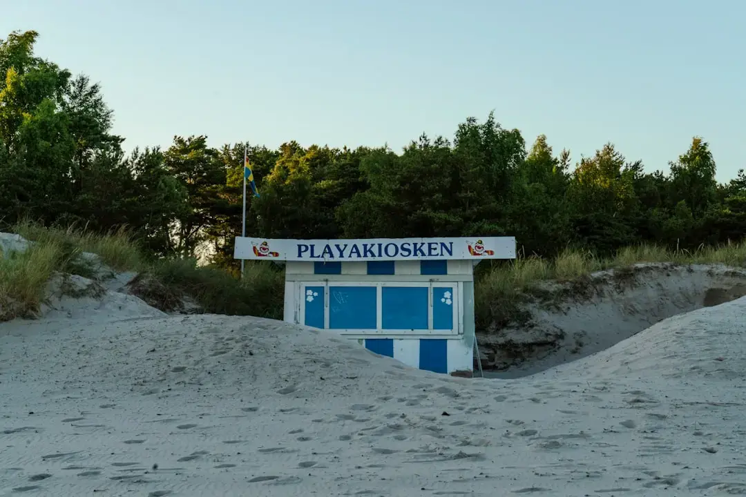 Norwegian Artist Fay Wildhagen Embarks on Independent Album Journey