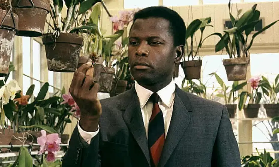 The State of Blackness on Screen
