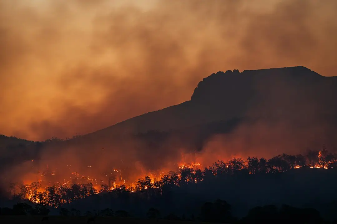Fire Country Secures Status as Streaming Powerhouse