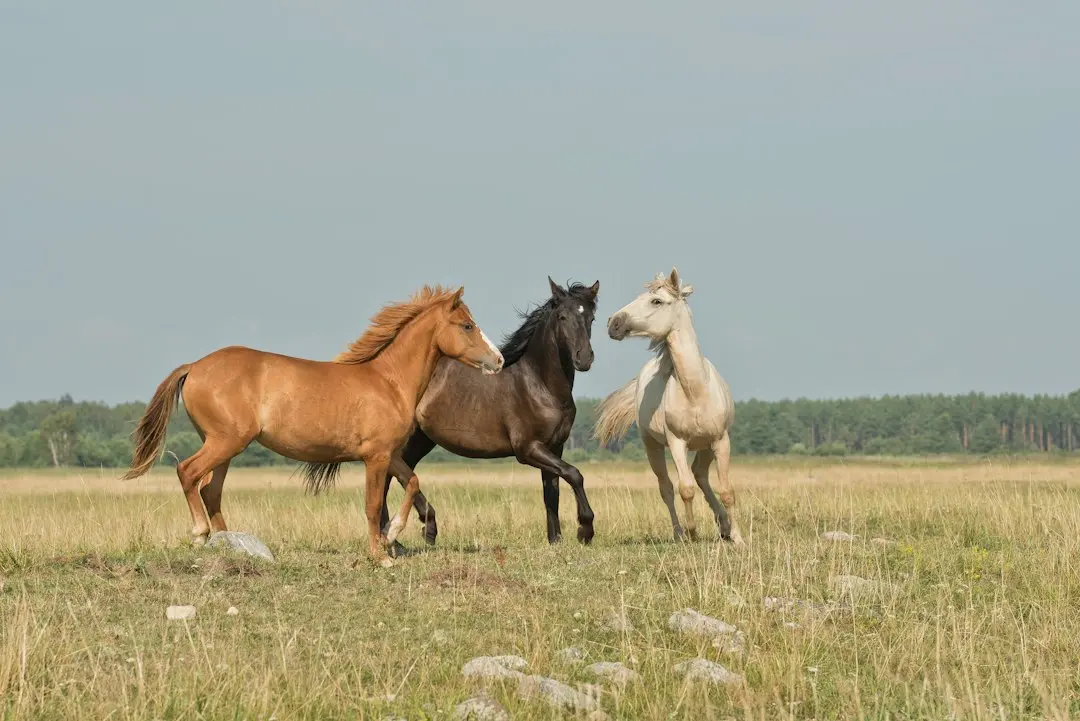 Slow Horses Achieves Unprecedented Streaming Milestone on Apple TV+