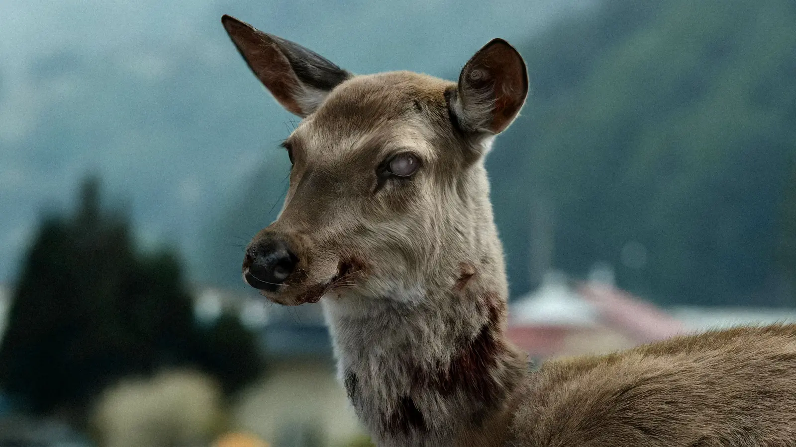 Train to Busan Officially Joins Peacock Streaming Library in October 2026